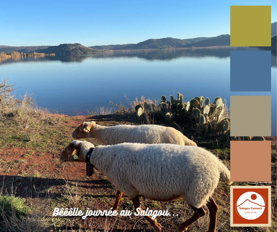 Couleur Salagou