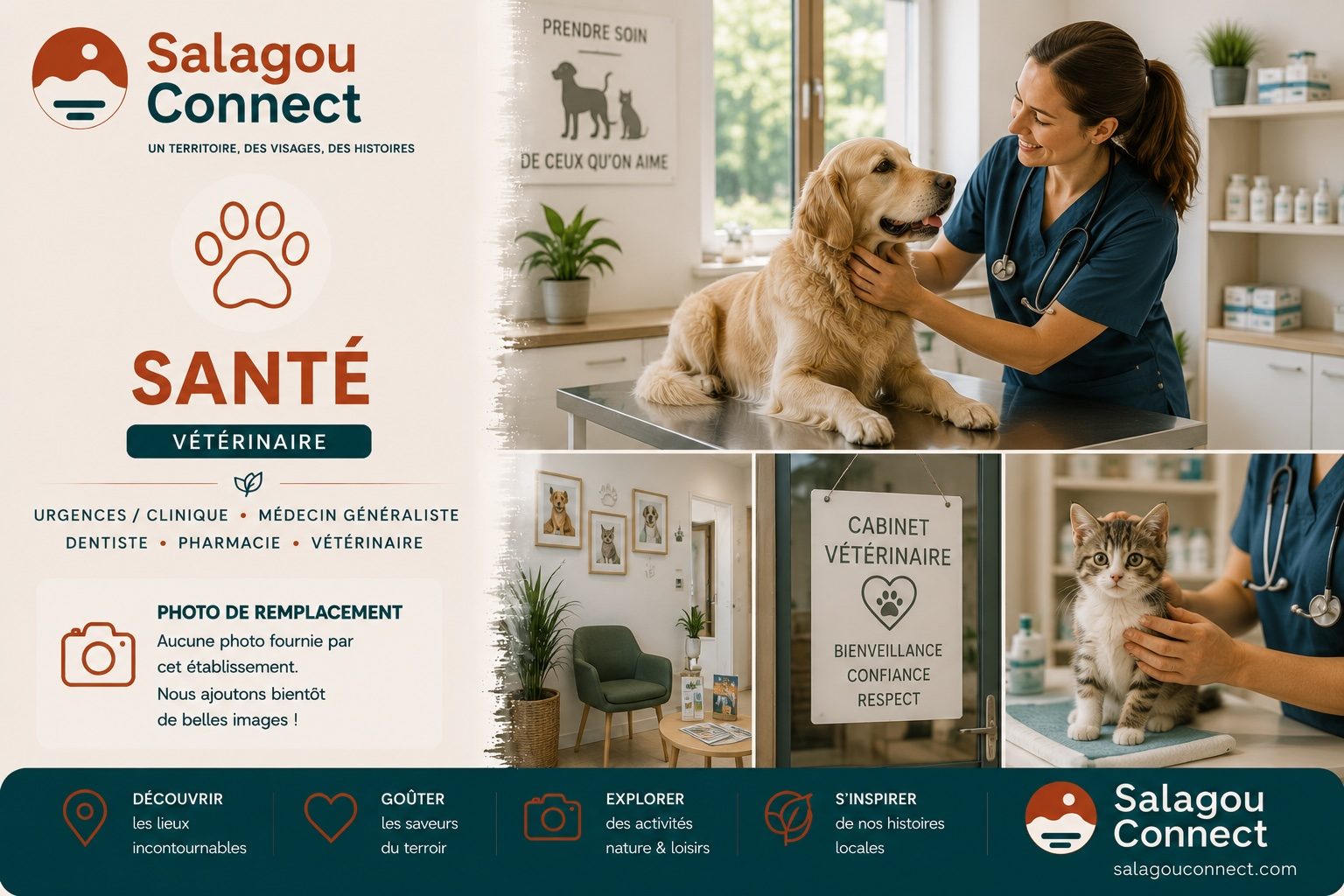Vétérinaire examinant un chien dans une clinique
