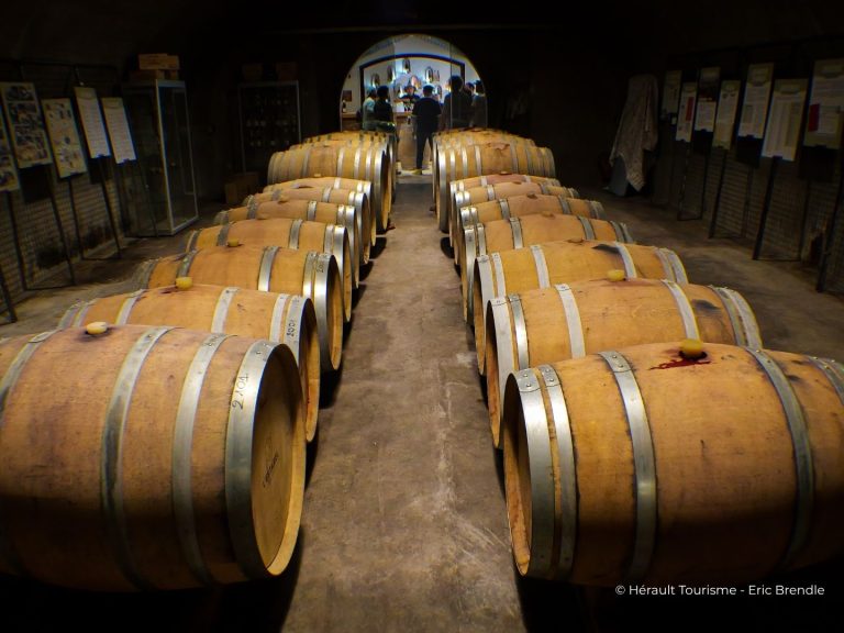 Caveau Estabel Cabrieres E Brendle 768x576